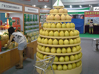 梅州柚子批發(fā)，梅州三紅蜜柚選廣東三紅柚農(nóng)業(yè)有限公司