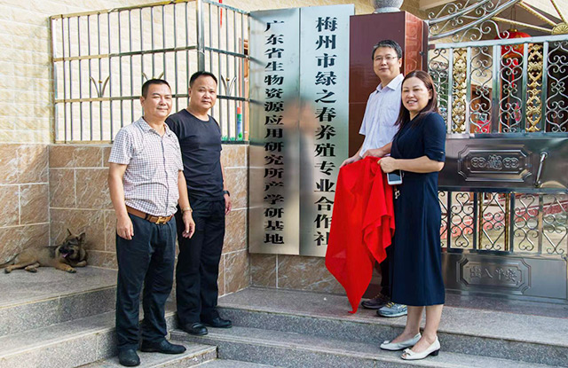 專業(yè)養(yǎng)殖龜類品種——五華綠之春養(yǎng)殖