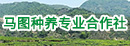 豐順縣馬圖種養(yǎng)專(zhuān)業(yè)合作社